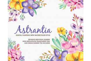 Astrantia Watercolor Floral Style Clipart for Local Business Branding