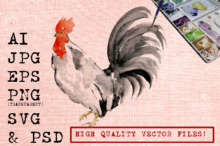 Black Tail Rooster Illustrations