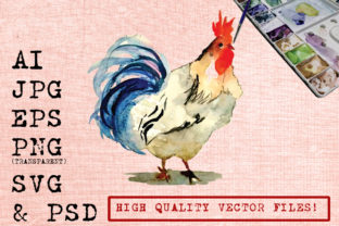 Blue Tail Rooster Illustrations