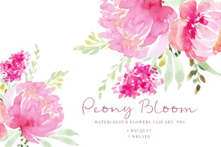 Pink Flowers Peony Illustrations